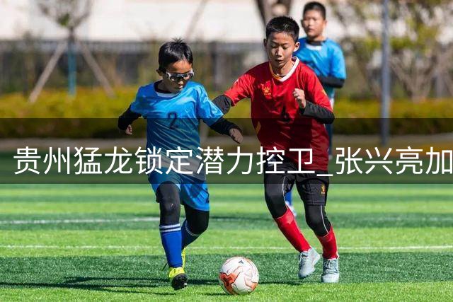 贵州猛龙锁定潜力控卫 张兴亮加盟提升后场实力